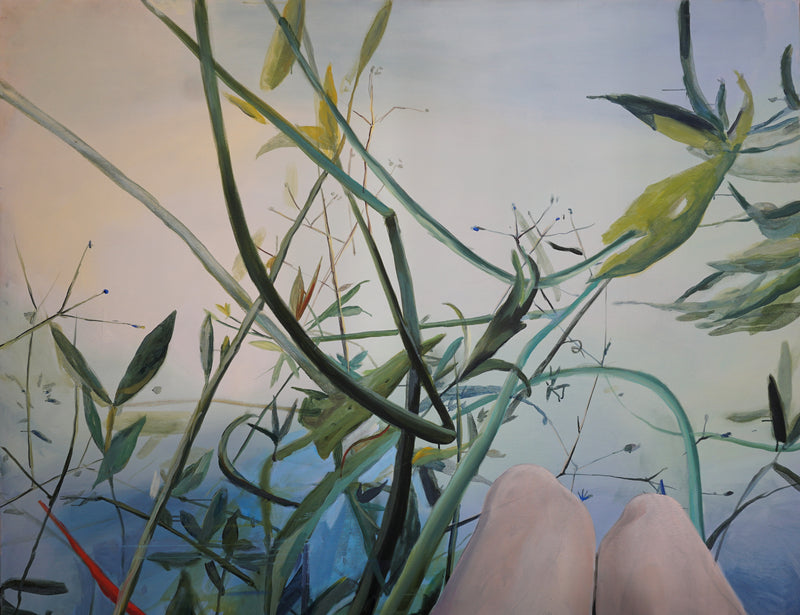 pond